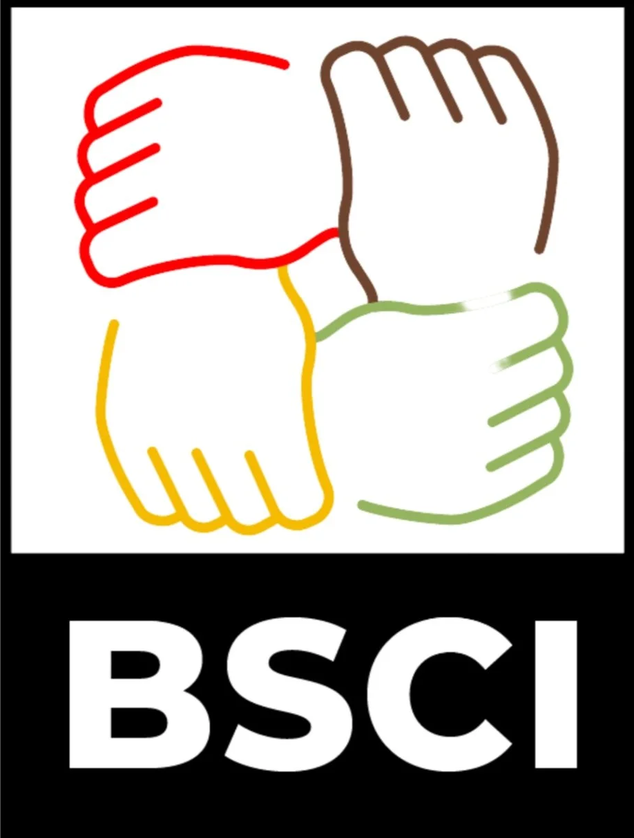 Black Social Capital Initiative